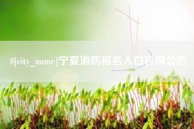 兴安盟宁夏消防报名入口官网公告