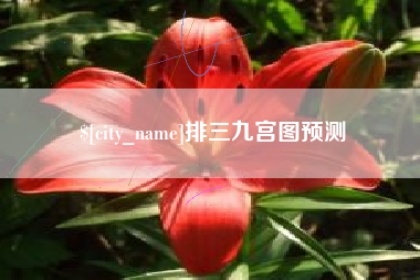 兴安盟排三九宫图预测