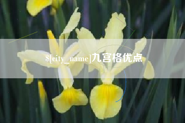 兴安盟九宫格优点