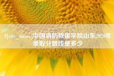 兴安盟中国消防救援学院山东2020年录取分数线是多少