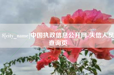 兴安盟中国执政信息公开网-失信人员查询页
