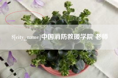 兴安盟中国消防救援学院 老师