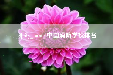 兴安盟中国消防学校排名