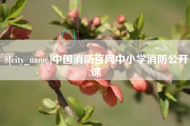 兴安盟中国消防官网中小学消防公开课