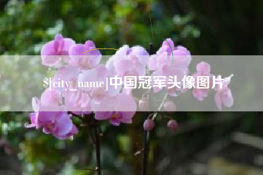 兴安盟中国冠军头像图片