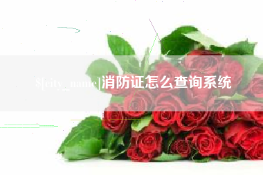 兴安盟消防证怎么查询系统