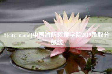 兴安盟中国消防救援学院2019录取分数线