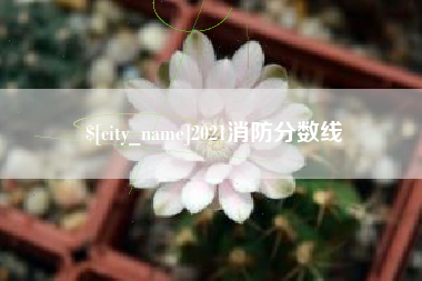 兴安盟2021消防分数线