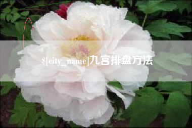 兴安盟九宫排盘方法
