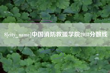 兴安盟中国消防救援学院2018分数线