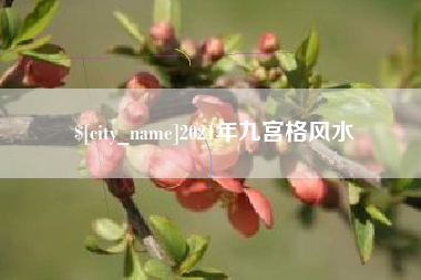 兴安盟2021年九宫格风水