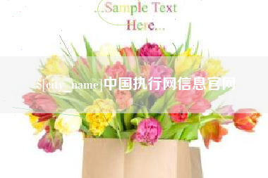 兴安盟中国执行网信息官网