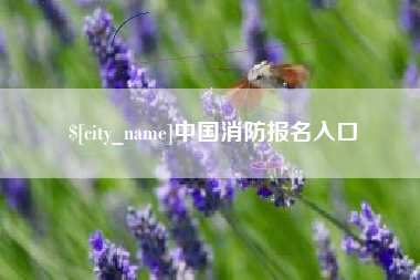 兴安盟中国消防报名入口