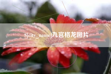 兴安盟九宫格龙图片