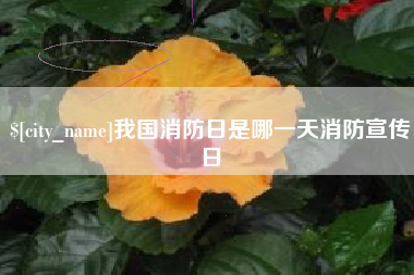 兴安盟我国消防日是哪一天消防宣传日