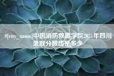 兴安盟中国消防救援学院2021年四川录取分数线是多少