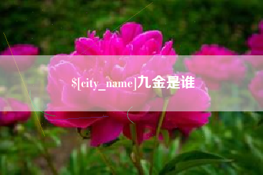 兴安盟九金是谁