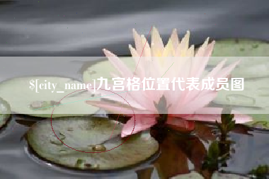 兴安盟九宫格位置代表成员图