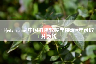 兴安盟中国消防救援学院2019年录取分数线