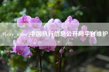 兴安盟中国执行信息公开网平台维护