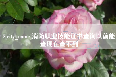 兴安盟消防职业技能证书查询以前能查现在查不到