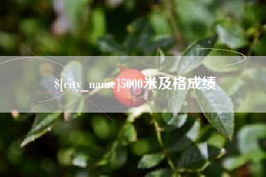 兴安盟5000米及格成绩