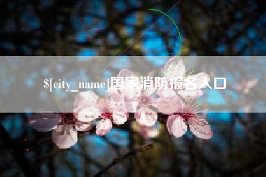 兴安盟国家消防报名入口