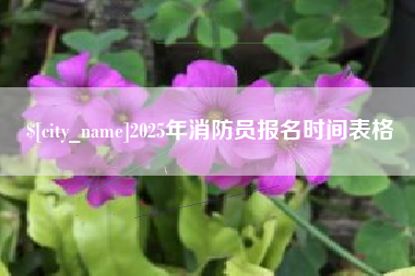 兴安盟2025年消防员报名时间表格