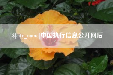 兴安盟中国执行信息公开网后