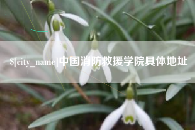 兴安盟中国消防救援学院具体地址