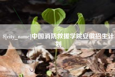 兴安盟中国消防救援学院安徽招生计划