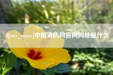 兴安盟中国消防网官网网址是什么