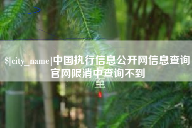 兴安盟中国执行信息公开网信息查询官网限消中查询不到