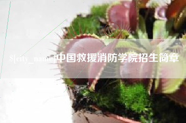 兴安盟中国救援消防学院招生简章