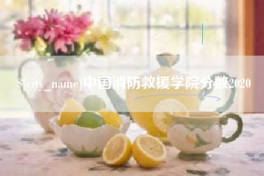 兴安盟中国消防救援学院分数2020