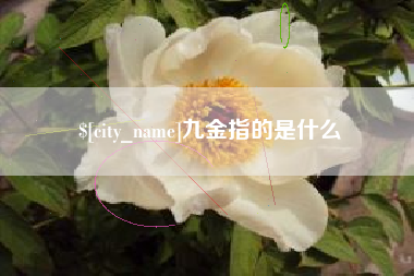兴安盟九金指的是什么