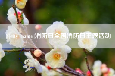 兴安盟消防日全国消防日主题活动