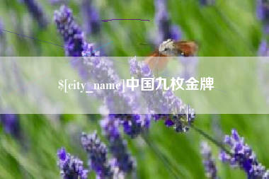 兴安盟中国九枚金牌