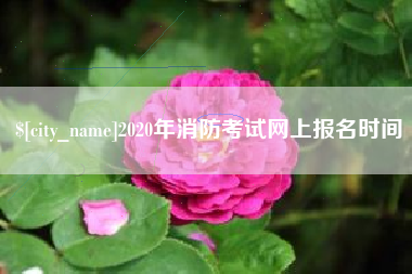 兴安盟2020年消防考试网上报名时间
