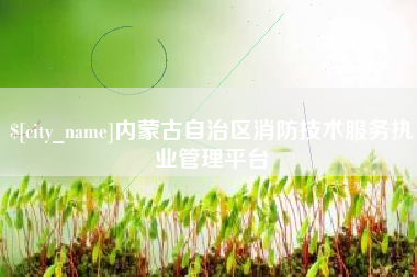 兴安盟内蒙古自治区消防技术服务执业管理平台