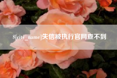 兴安盟失信被执行官网查不到