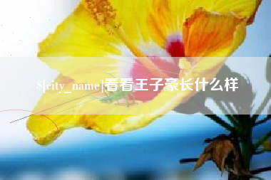 兴安盟看看王子豪长什么样