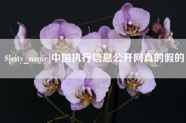 兴安盟中国执行信息公开网真的假的