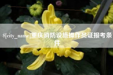 兴安盟重庆消防设施操作员证报考条件