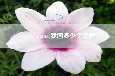 兴安盟我国多少个金牌