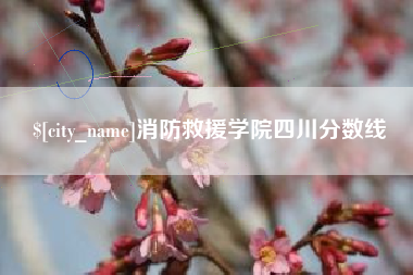 兴安盟消防救援学院四川分数线