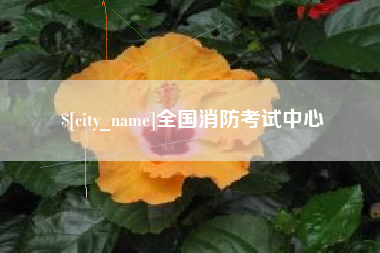 兴安盟全国消防考试中心