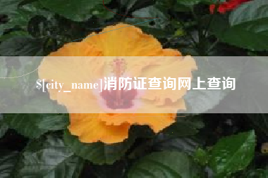 兴安盟消防证查询网上查询