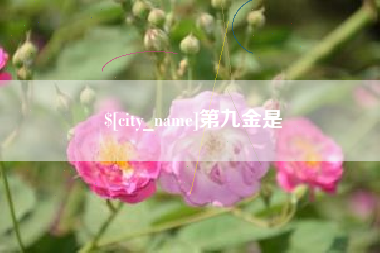 兴安盟第九金是