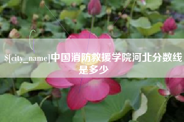 兴安盟中国消防救援学院河北分数线是多少